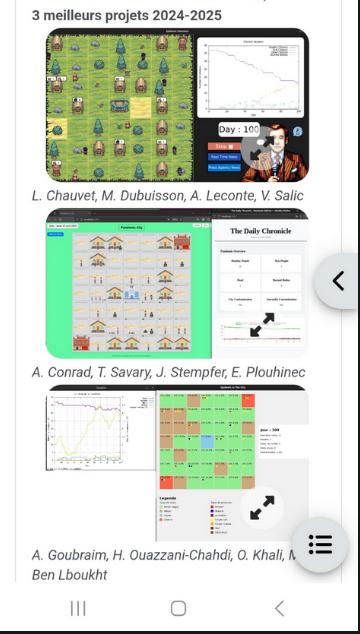Epidemic Simulation System screenshot 3